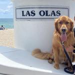 Las Olas Boulevard, Fort Lauderdale