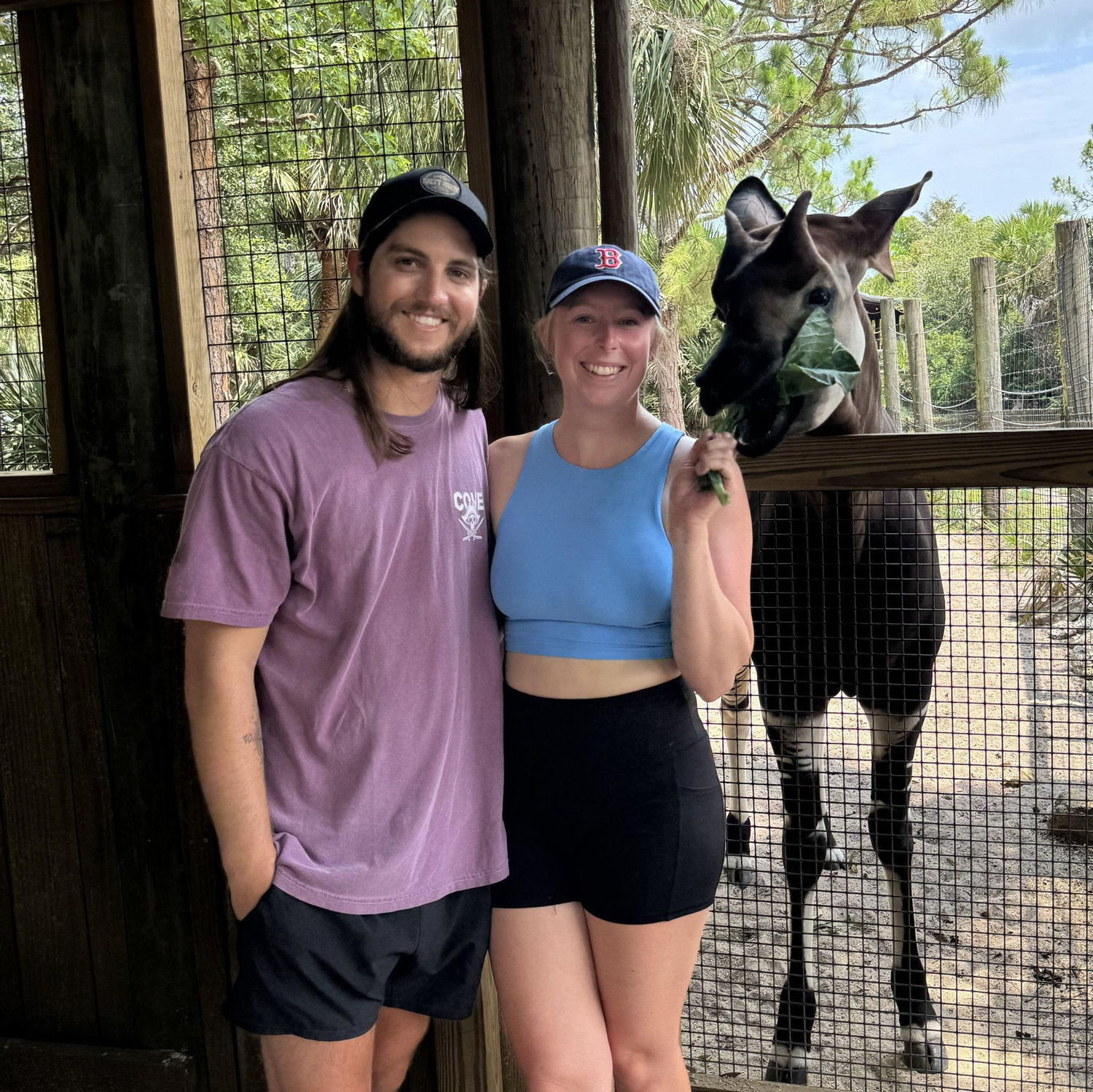george the okapi