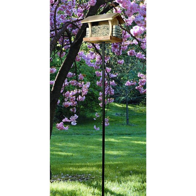 Bird feeder