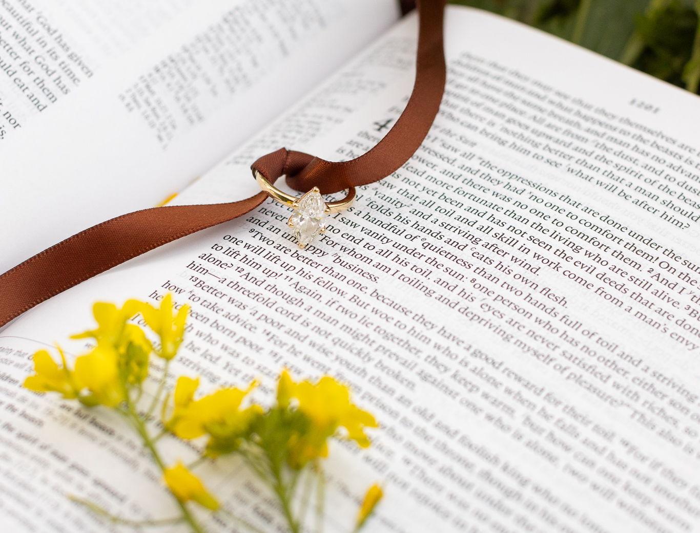 23bb08fa-9a29-4a69-8bac-5adc325e9749