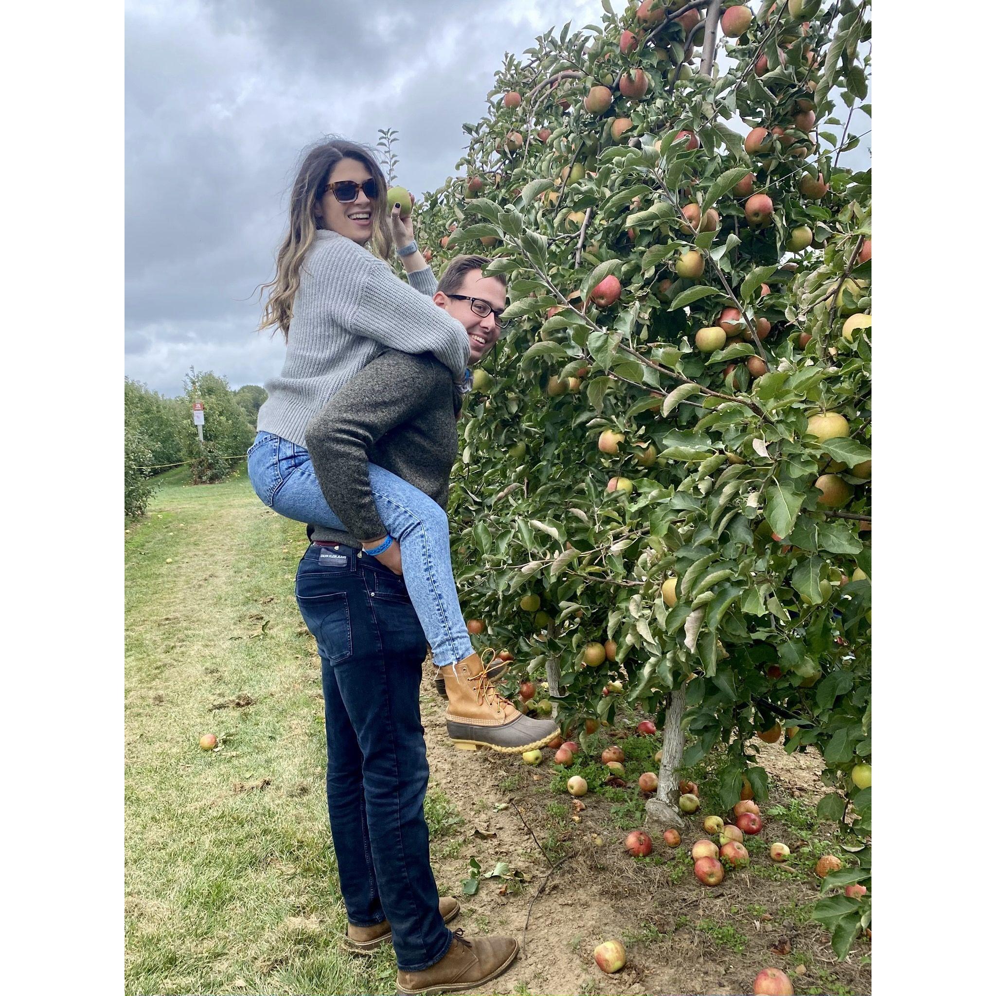 Long Island apple picking, 2021