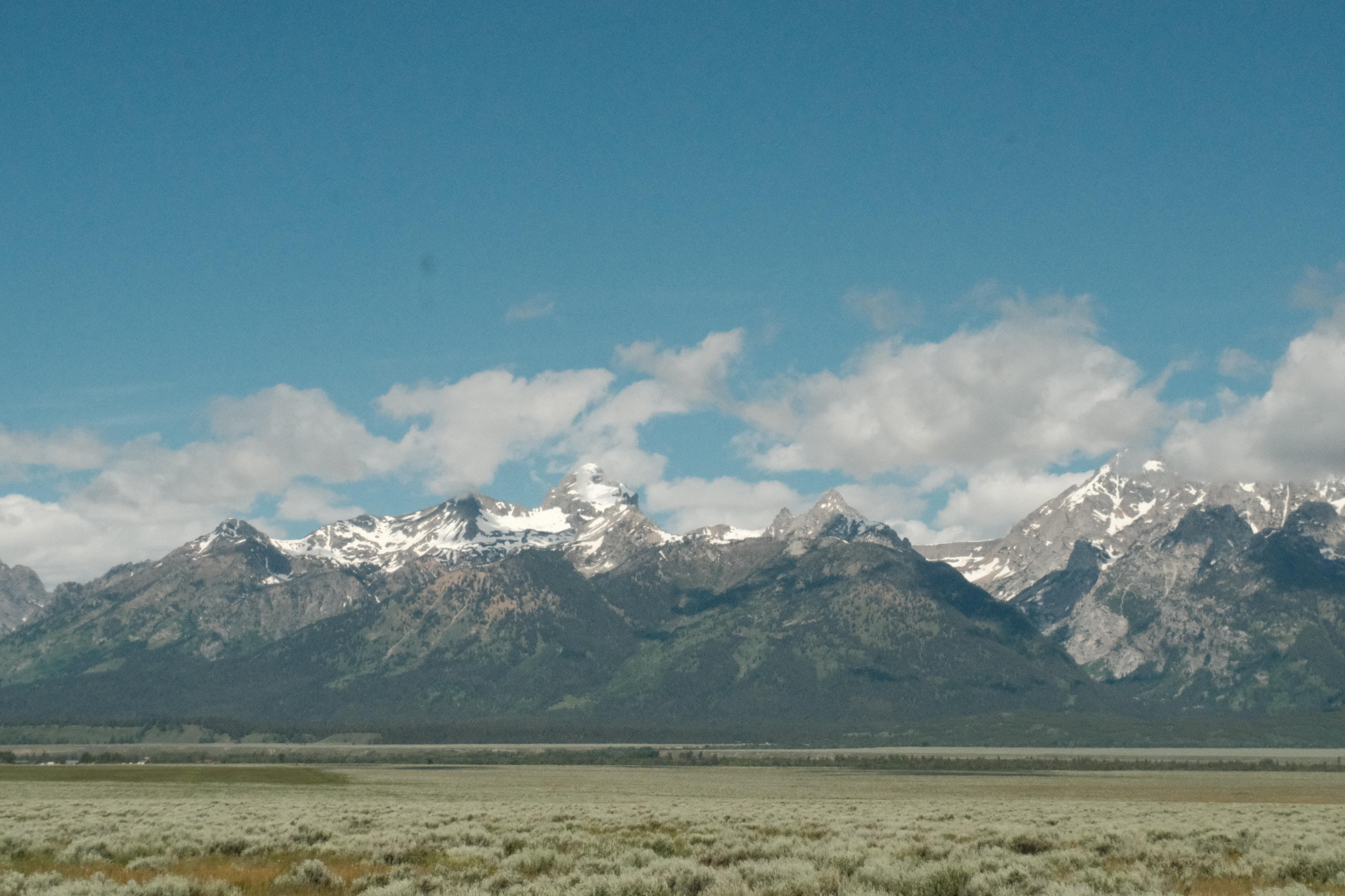 The Wedding Website of Carey Alexis and Ryan Menard