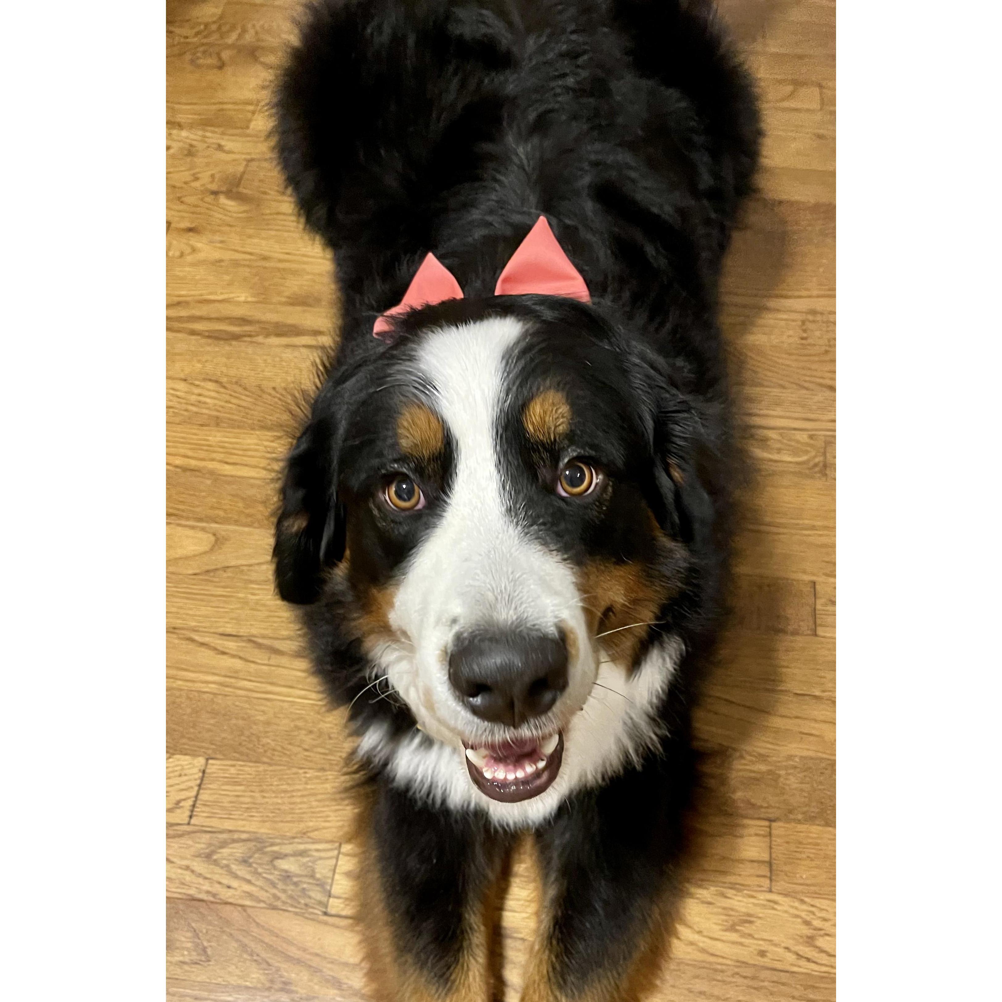 Thad helped Mickey pop the question