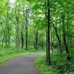 Wild River State Park