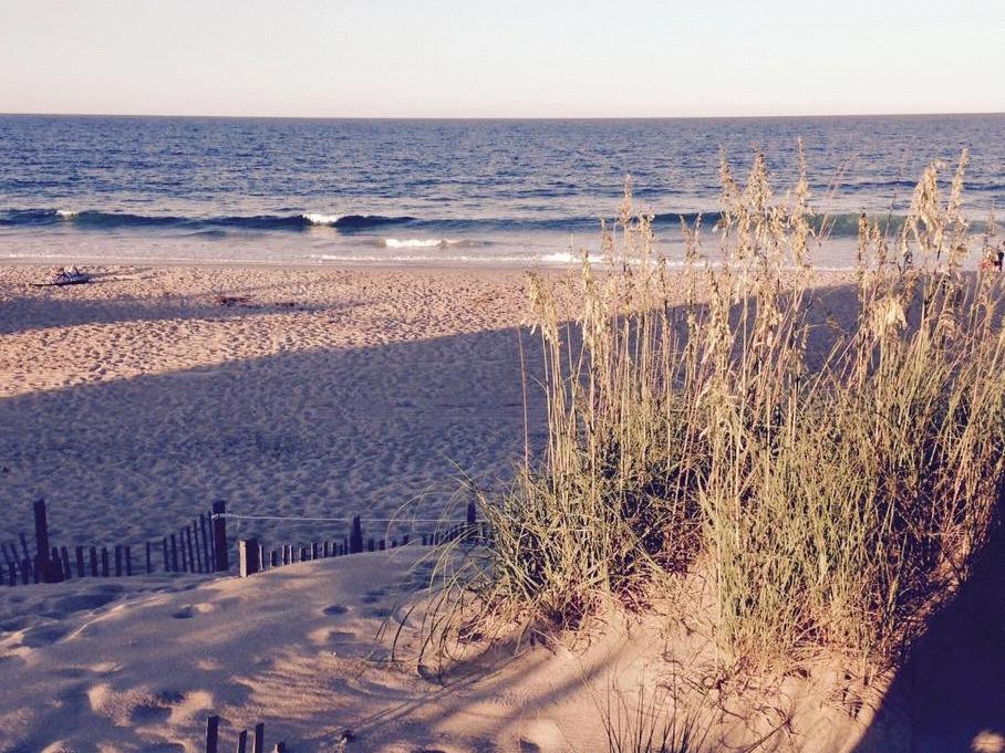 The Wedding Website of Samantha Siegel and Aaron White
