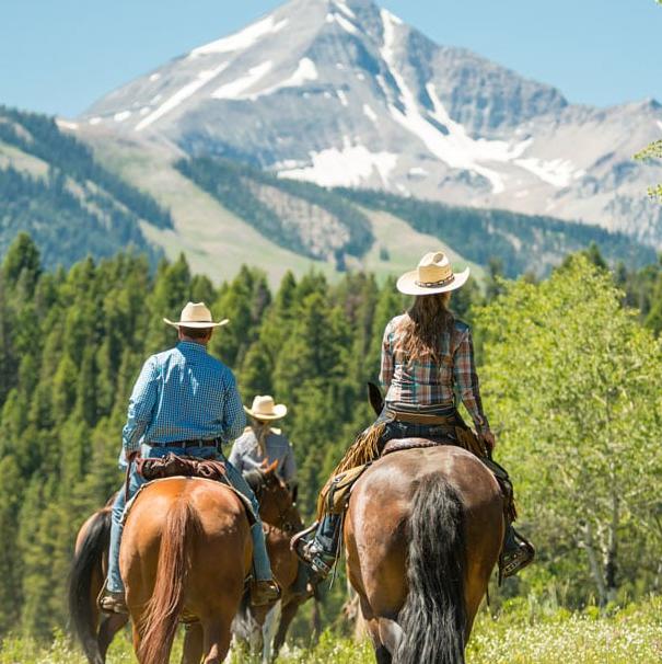 Horseback Riding On Our Honeymoon