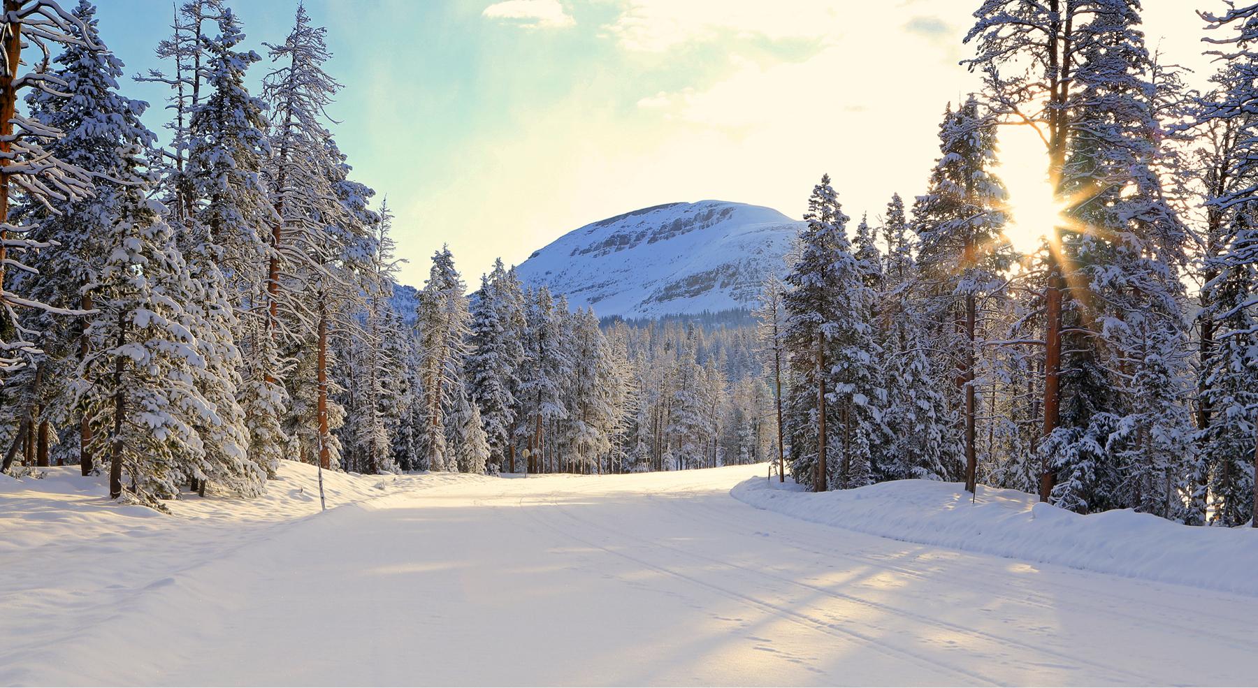 Gabrielle Labrecque and Kyle Frank's Wedding site