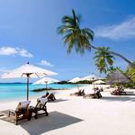 Relax at the Beach