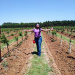 Llano Estacado Winery, Inc