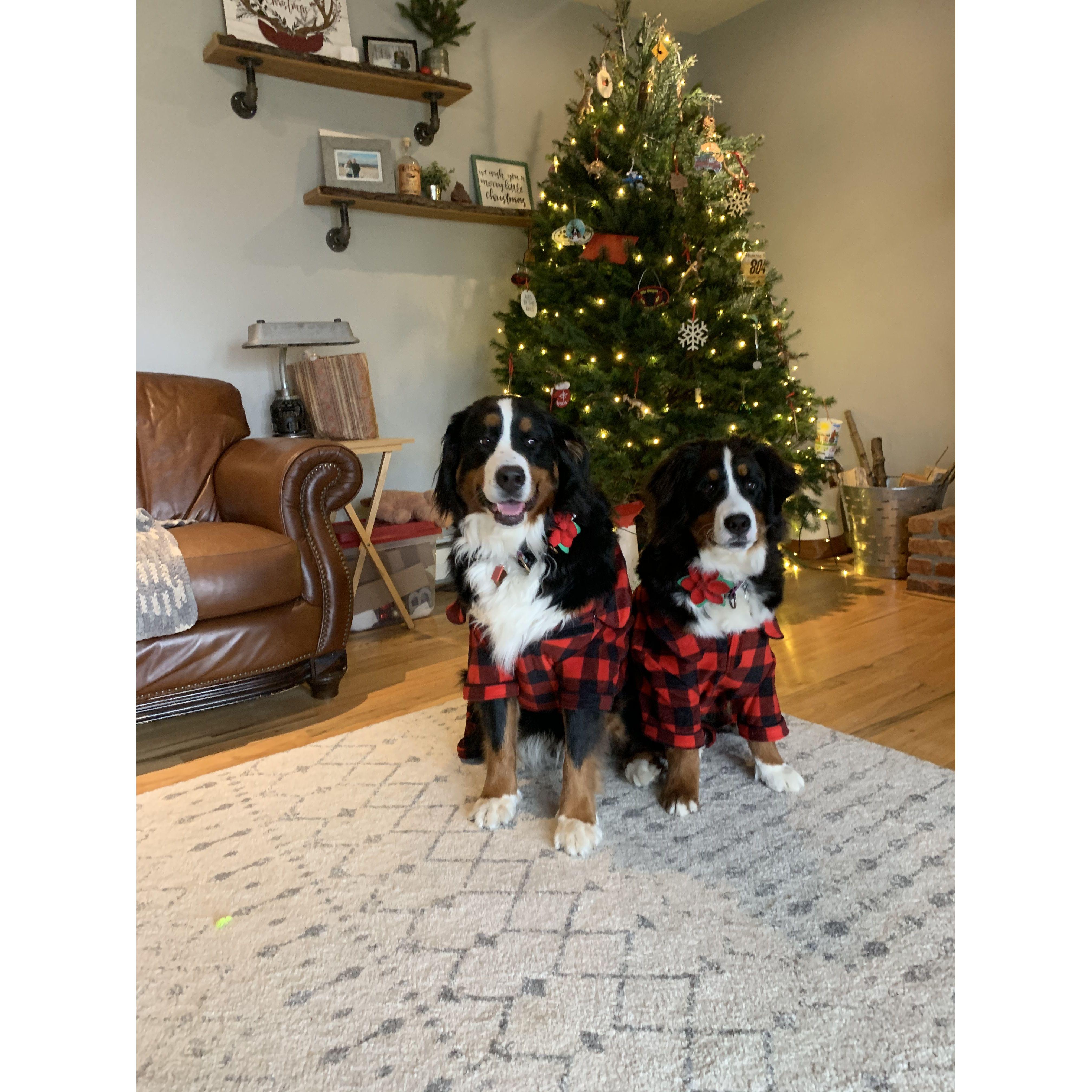 Matching Christmas onesies!
