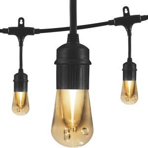 Vintage 12 ft. Black Integrated LED Cafe String Lights