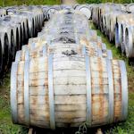 Whitebarrel Winery