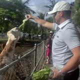 Robert Is Here Fruit Stand and Petting Zoo
