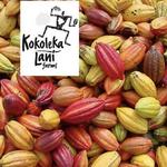 Coffee and Chocolate Tours Plus Gift Shop