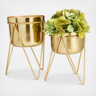 2-Piece Modern Planter Set with Stands