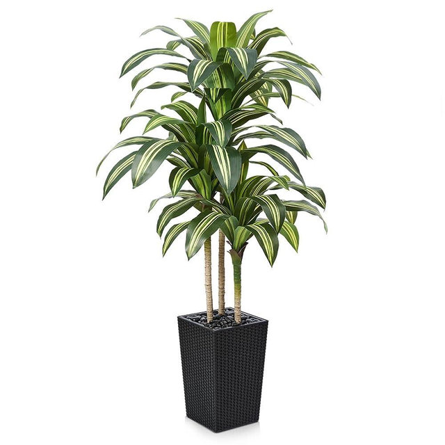 VeriNatural Artificial Dracaena Tree 5FT - UV Resistant Faux Tree with Large Taper Planter & Pebbles - Tall Fake Plants Indoor & Outdoor, Potted Floor Plant for Home Living Room Porch Decor, VN127