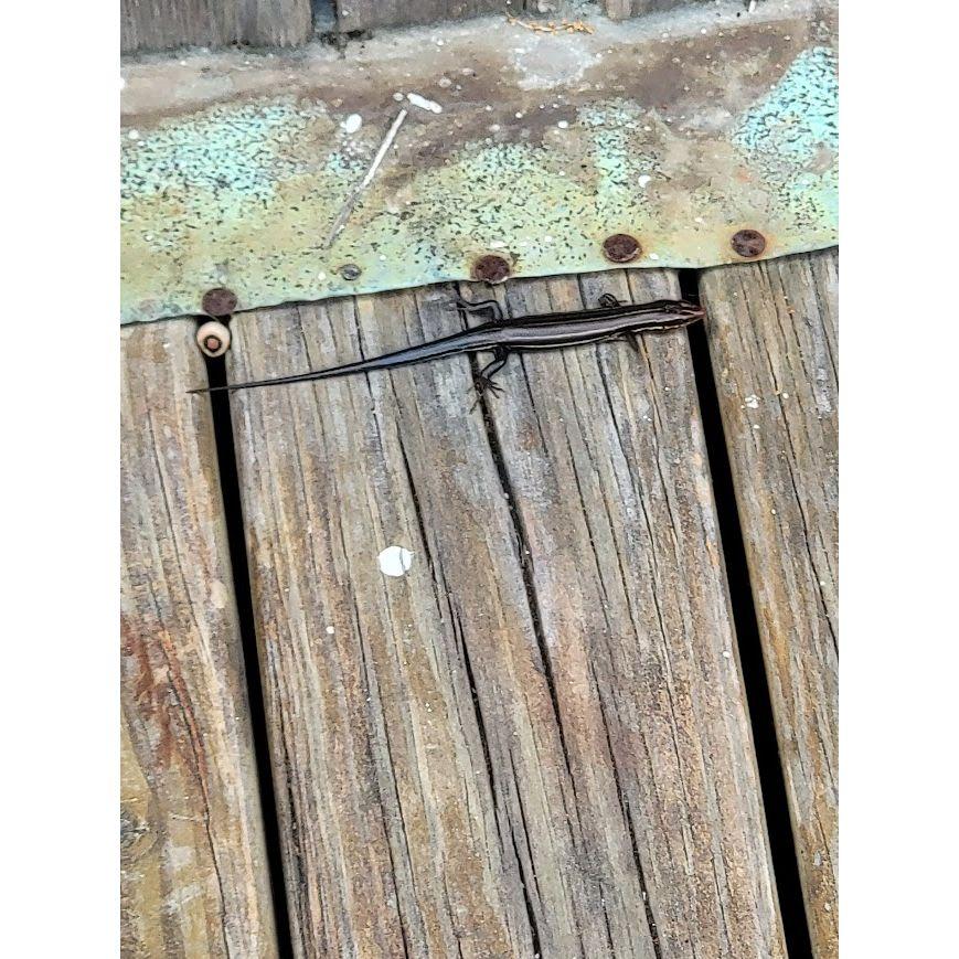 Ellie looked great here.