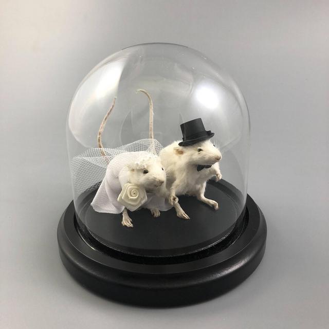 Taxidermy Wedding Mouse Couple Bride and Groom Mice Cake Topper Engagement Anniversary