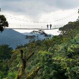 Nyungwe National Park
