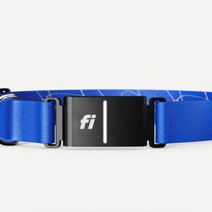 Dog GPS & Health tracking | Fi Smart Dog Collar