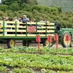 Underwood Family Farms