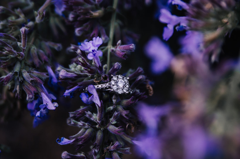 The Wedding Website of Nicole Belanger and Daniel Hoare