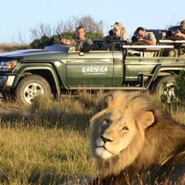 Honeymoon to South Africa!