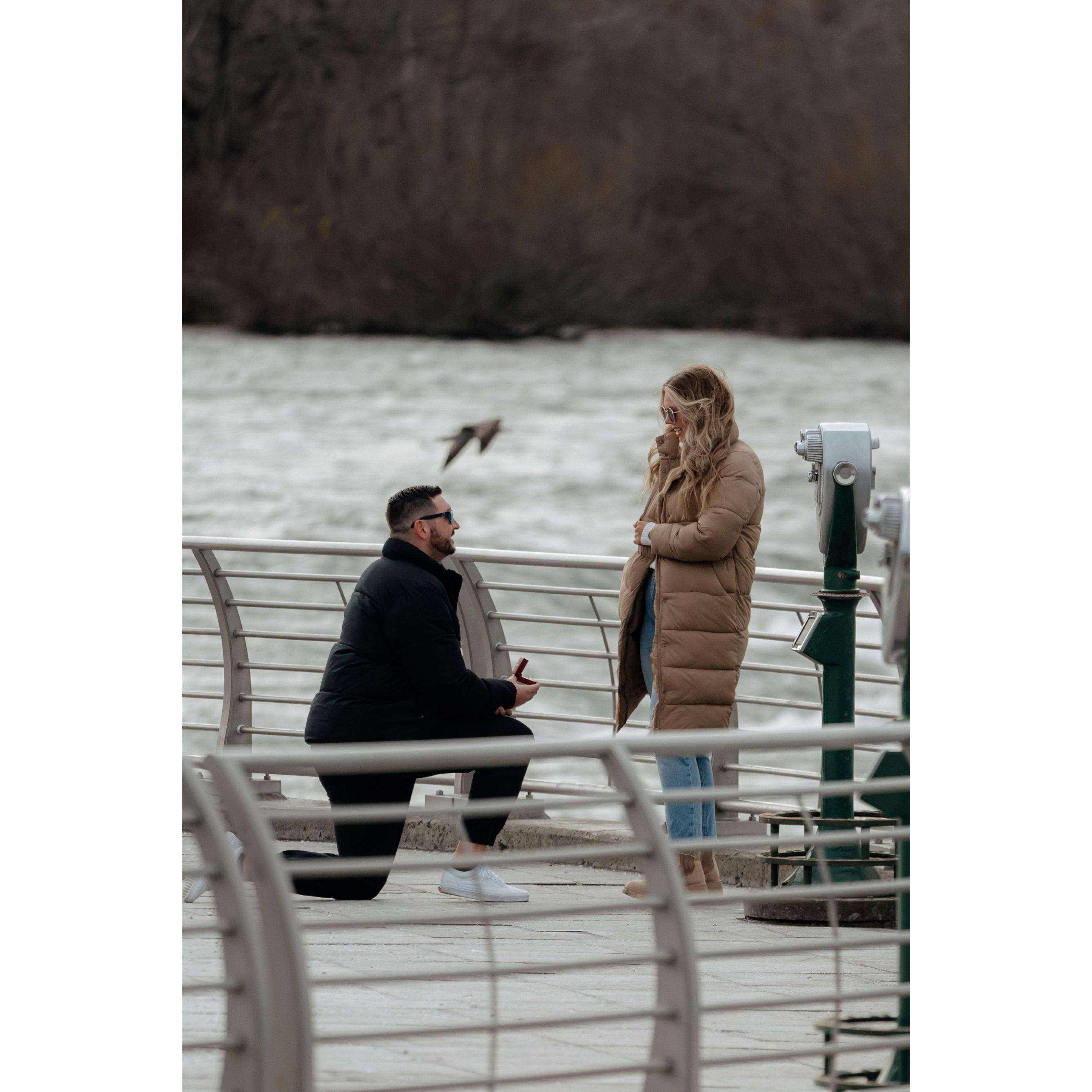 the proposal, Niagra Falls