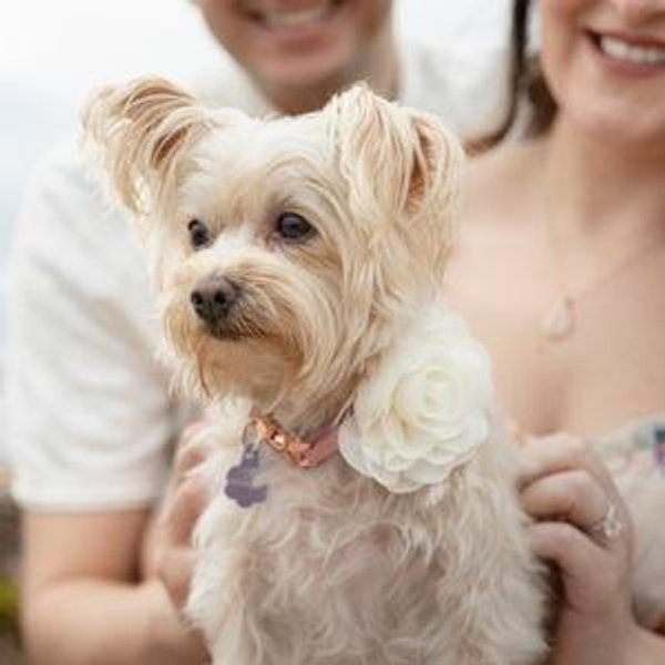Wedding Cash Fund