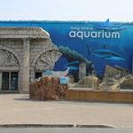 Long Island Aquarium