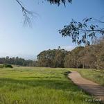 Ellwood Mesa Coastal Trail