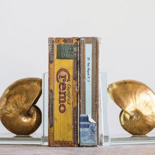 Gold Resin Shell Bookends on Glass Base