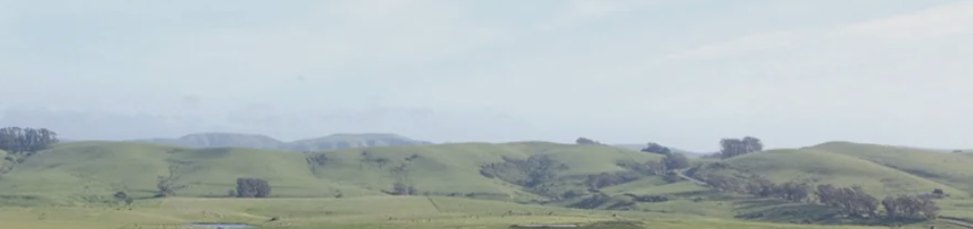 The Wedding Website of Anne Rhodes and Mericos Rhodes