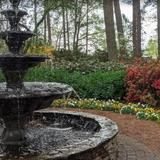 WRAL Azalea Garden