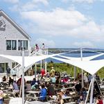 Tree House Brewing - Cape Cod