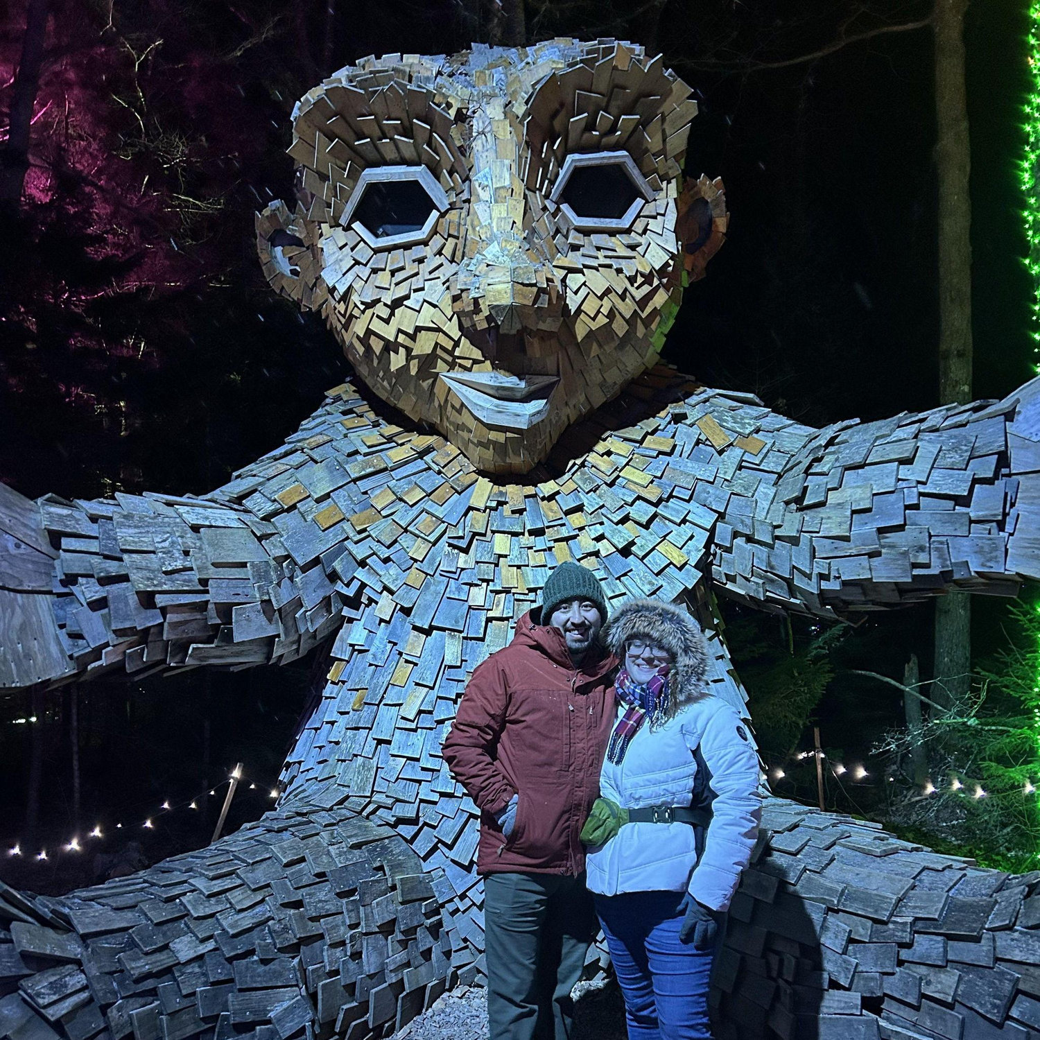 We visited the Botanical Gardens in the winter to see all of the lights they put up!