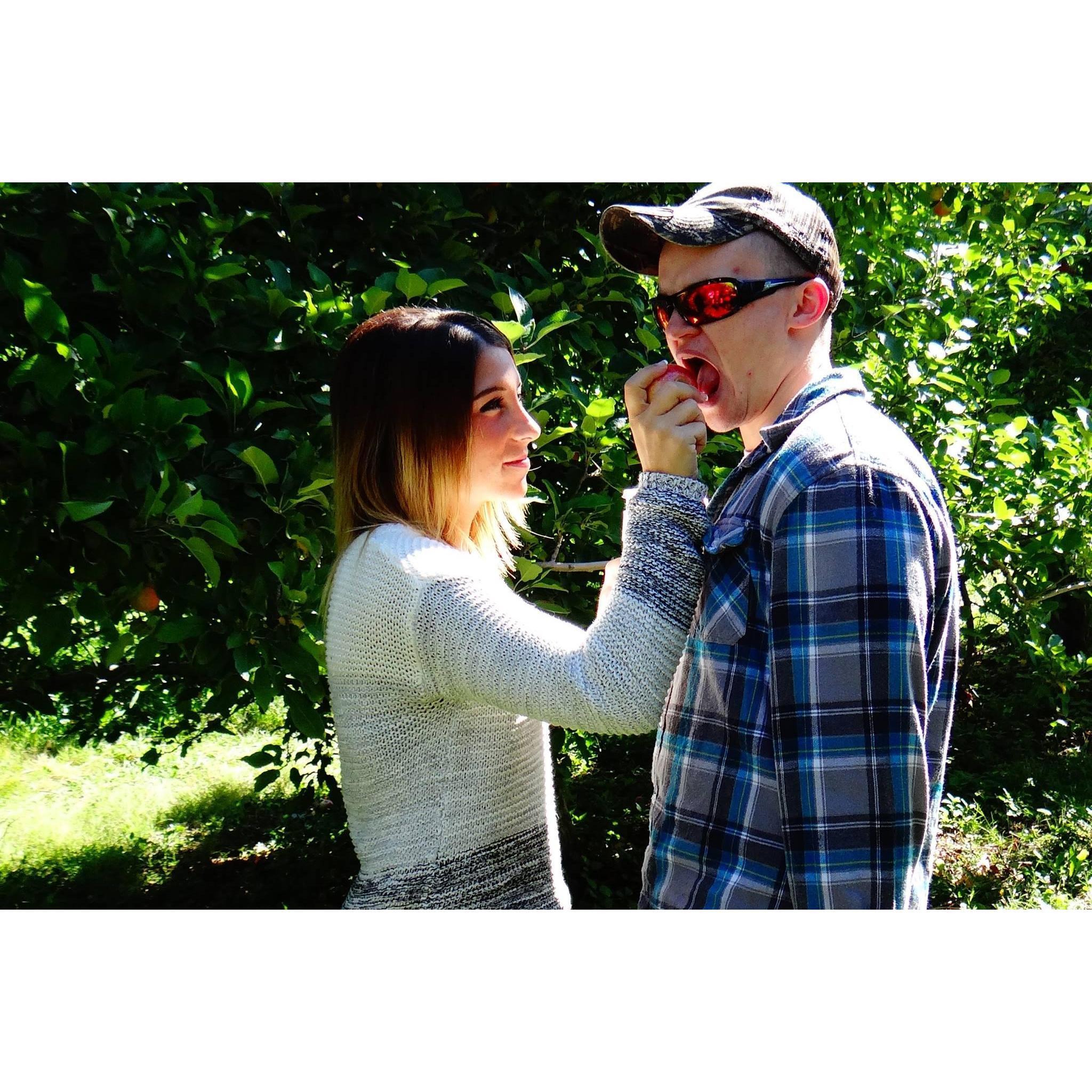 The famous picture of Angela feeding Ian a rotten apple
