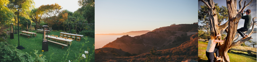 23d8a30a-8c16-4d4d-97d6-0c8898a56efd