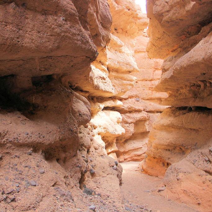 Favorite hike: White Owl Canyon is a short slot canyon near the edge of Lake Mead (easy to moderate)