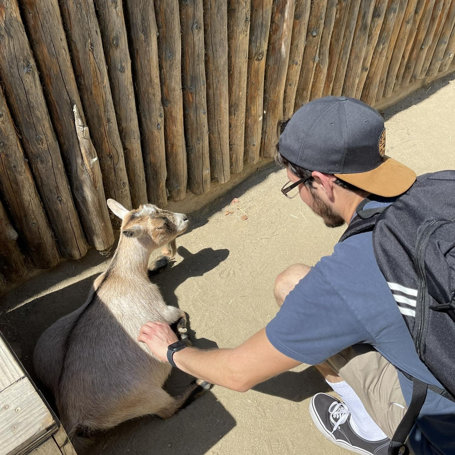 At the San Diego Zoo. We visit the San Diego Zoo and Safari park once every year! We love animals.
