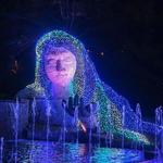 Atlanta Botanical Garden