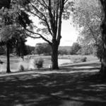 Lake Sacajawea