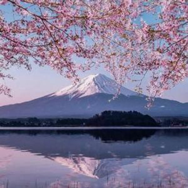 Mount Fuji Private Tour