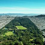 Golden Gate Park