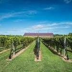 Long Island Wine Country