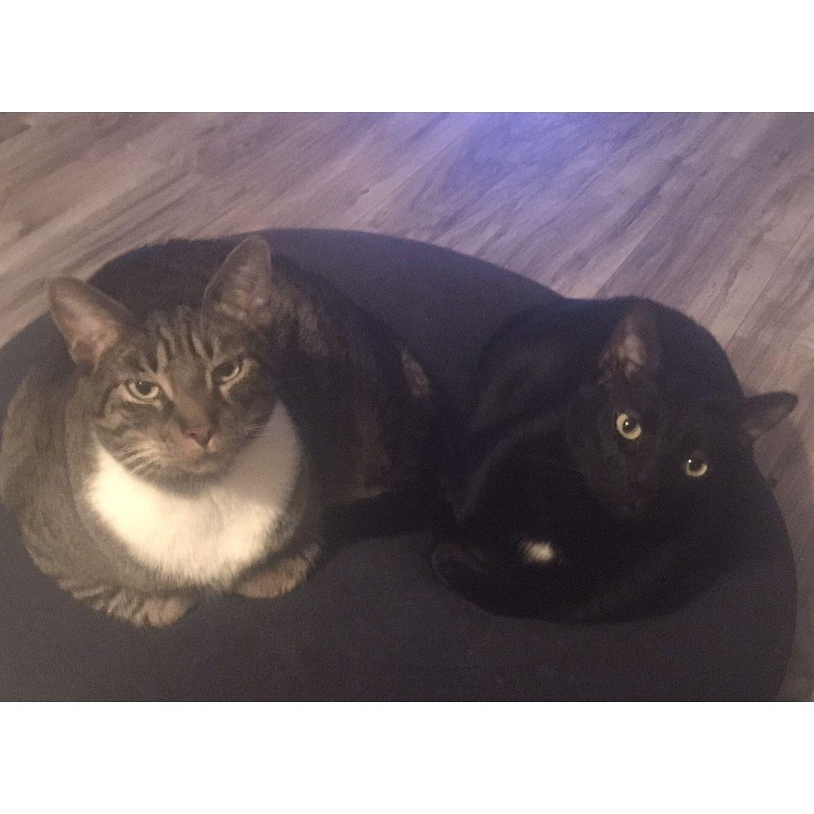 Deebo & Craig
