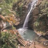 Annandale Waterfall & Forest Park