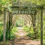 Serenbe