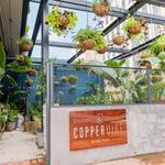 Copper Vine