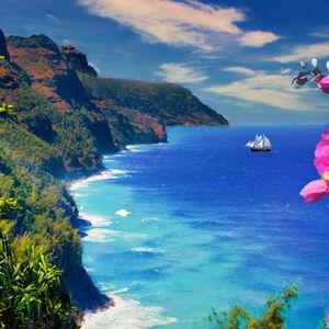 Hawaii Honeymoon Fund